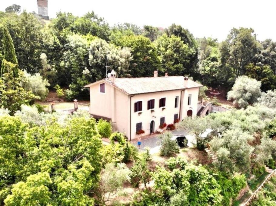 Apartment In Luxuryproperty Privatepool Garden Bbq Airc X8 Castelnuovo Di Porto Екстер'єр фото